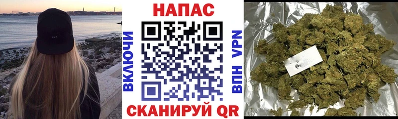 Шишки марихуана марихуана  кракен tor  Монино  наркота 